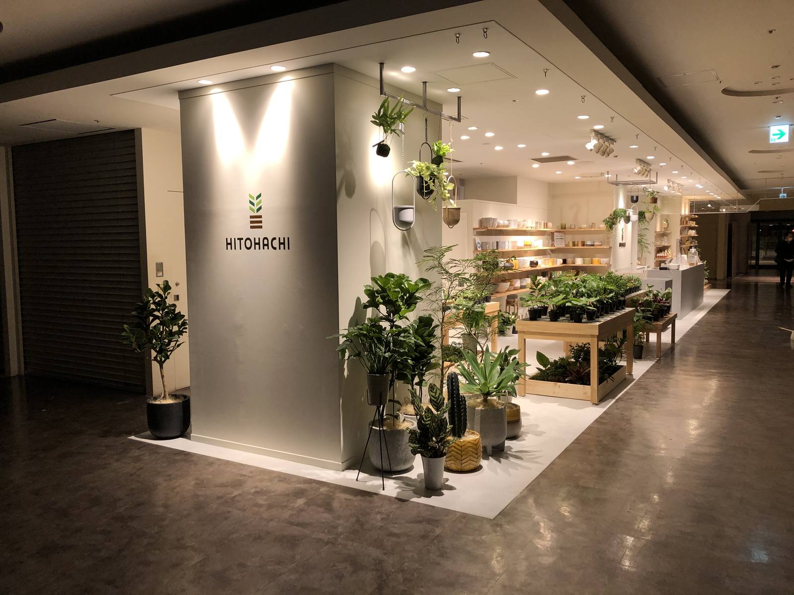 商業施設内の植物店の施工事例