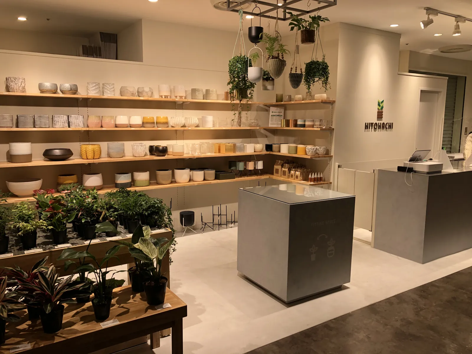 HITOHACHI　植物店 写真2