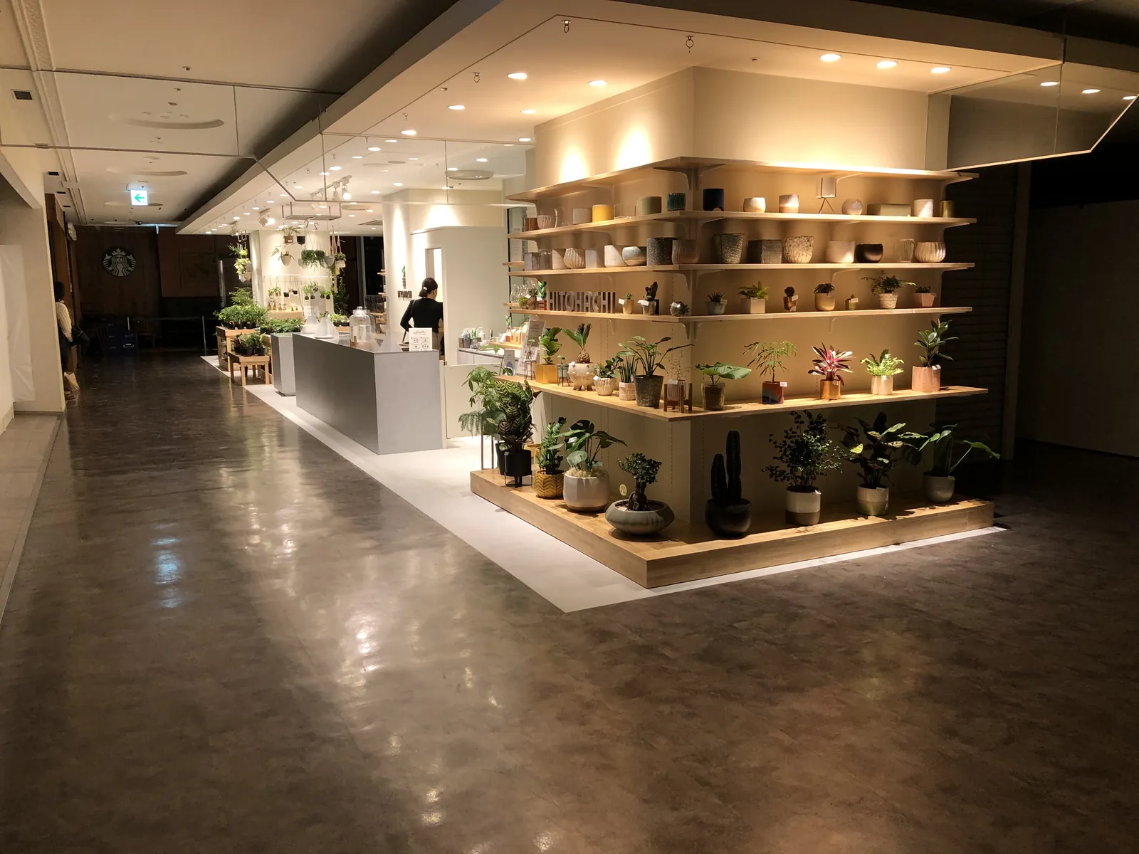 HITOHACHI　植物店 写真3
