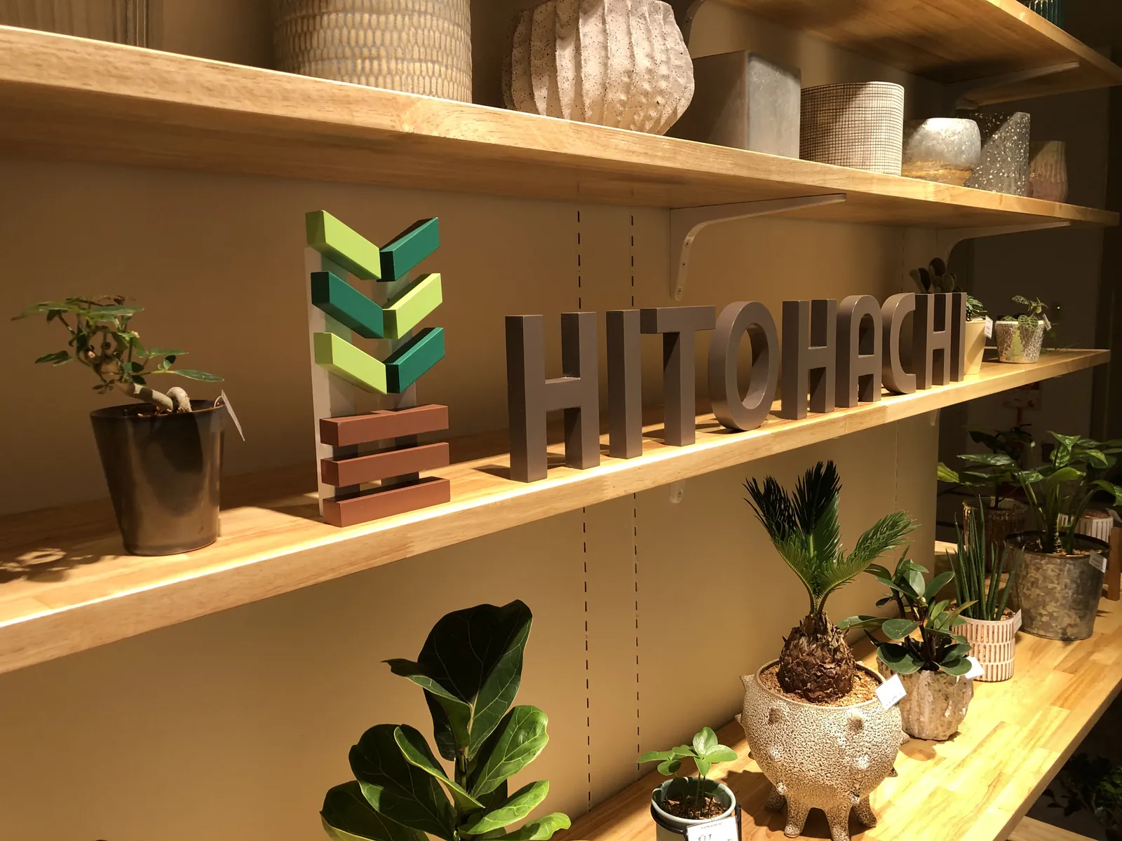 HITOHACHI　植物店 写真4